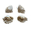 Sola Atta Flowers