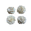 Sola Atta Flowers