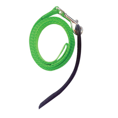 Avian Fashions Leash for FeatherWear FlightSuit (Anchor Line Lime) showing the Front View