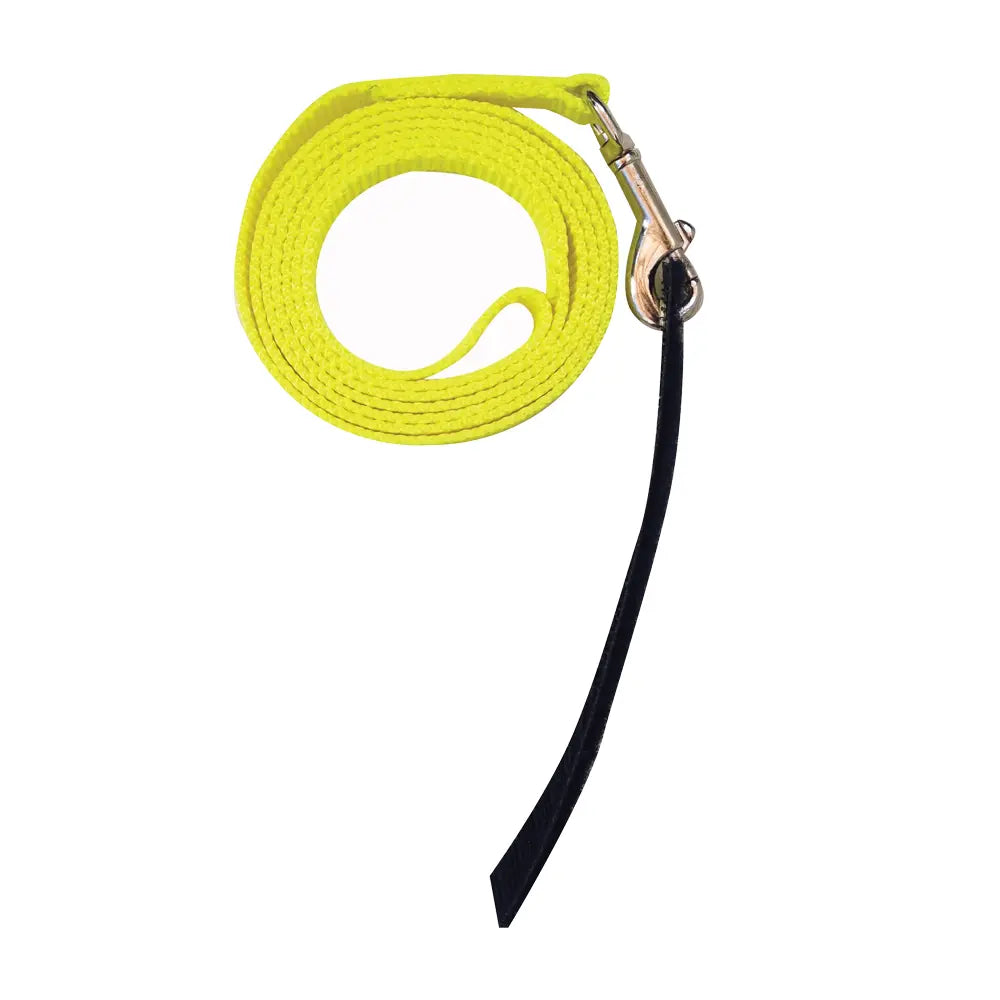 Avian Fashions Leash for FeatherWear FlightSuit (Anchor Line Neon) showing the Front View
