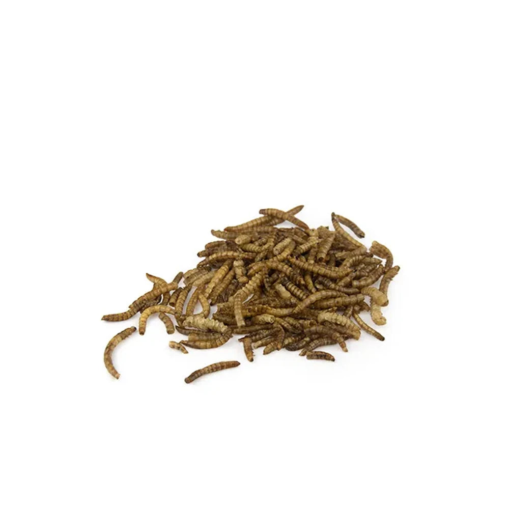 Bainbridge Dried Mealworms showing the inside view