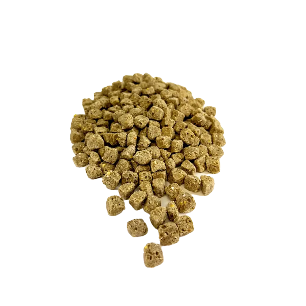 Harrison's Adult Lifetime Coarse 2.27kg from Harrison's Bird Foods