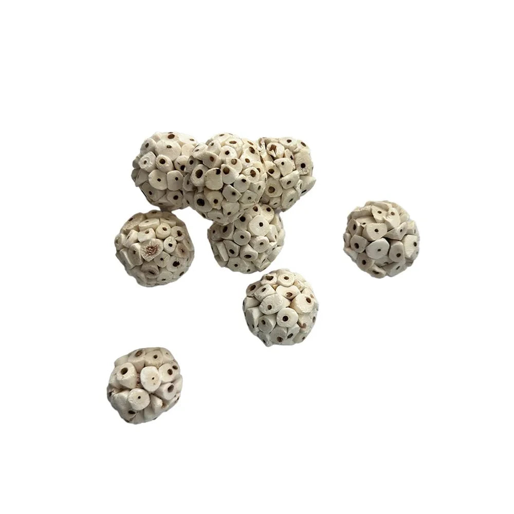 Nature Iisland Sola Chew Balls in small showing the top view