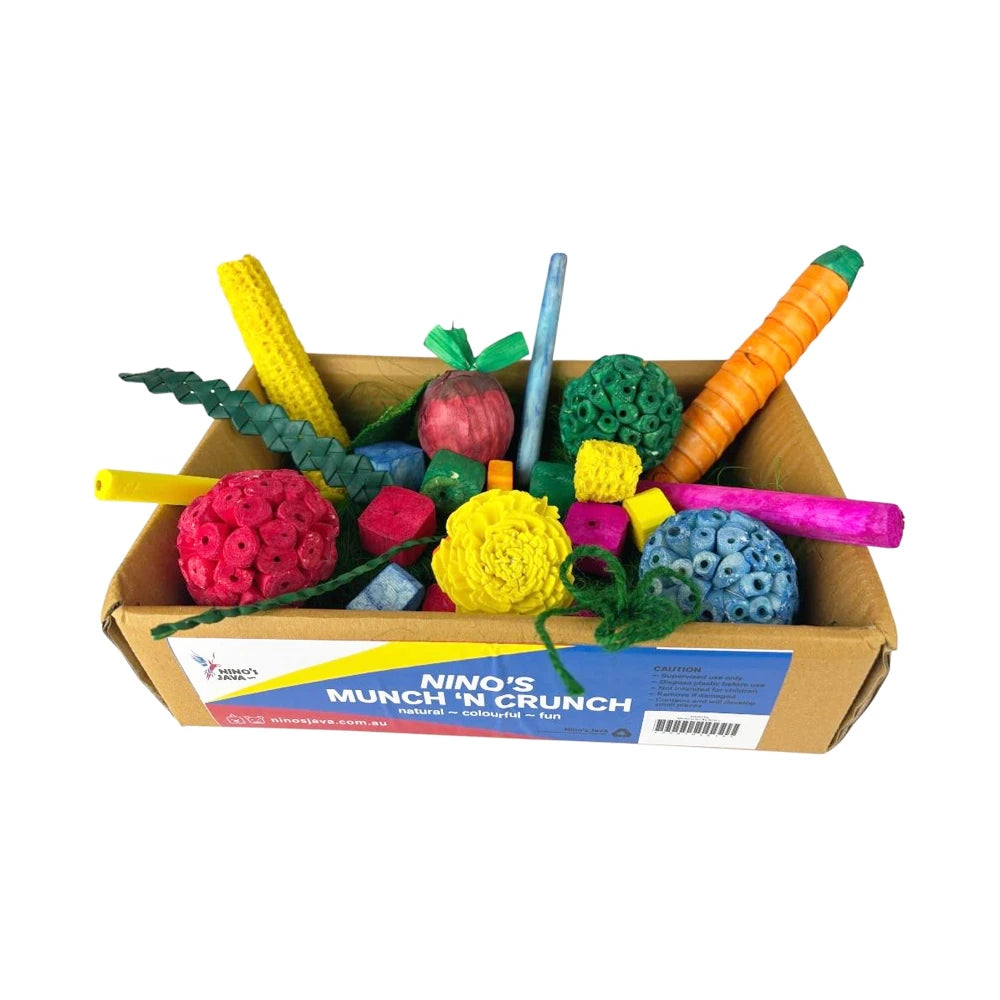 Ninos Java Munch n Crunch Sola Forage Box in large showing the front view