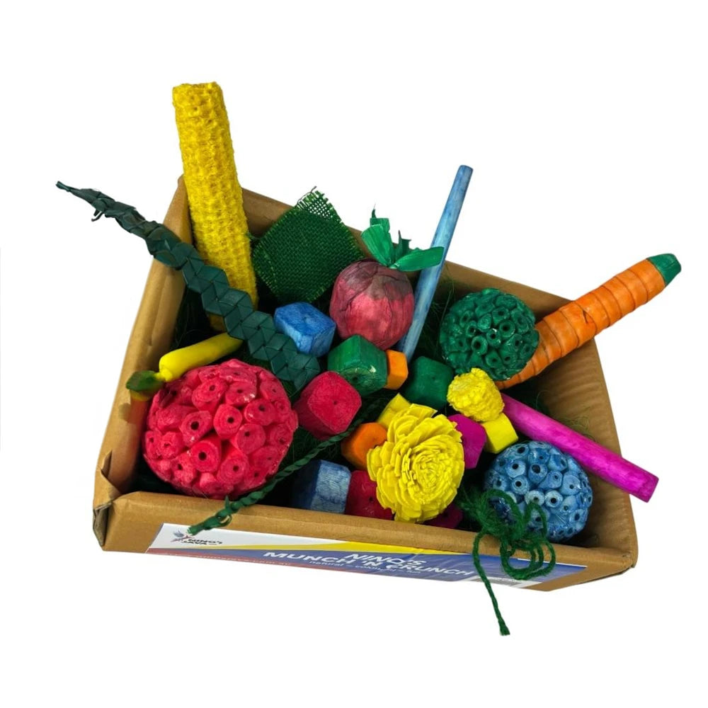 Nino_s Java Munch n Crunch Sola Forage Box in large showing the top view