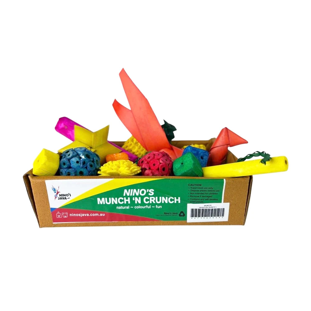 Nino_s Java Munch n Crunch Sola Forage Box in small showing the front view