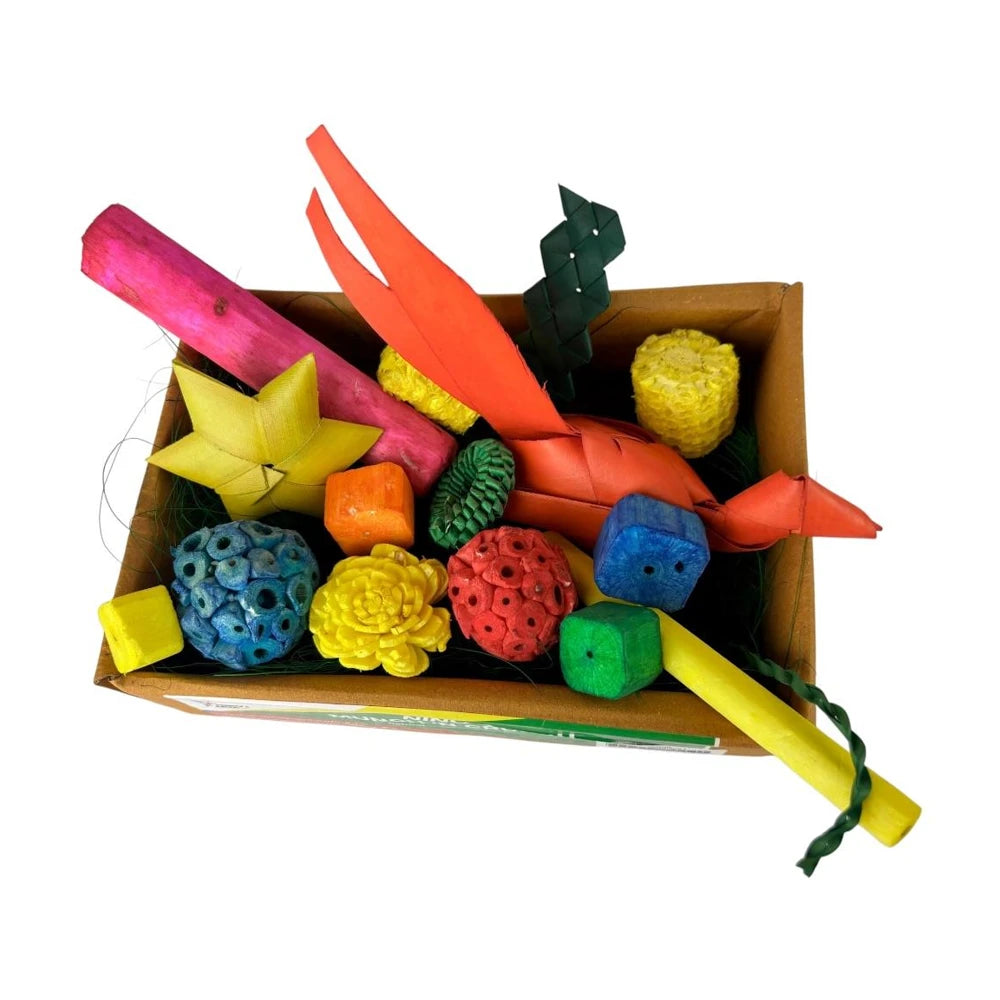 Nino_s Java Munch n Crunch Sola Forage Box in small showing the top view