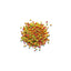 ZuPreem FruitBlend Flavour Pellets for Small Birds in 907g showing the Product View