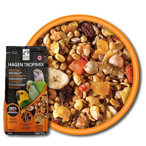 Tropimix large hot sale parrot food