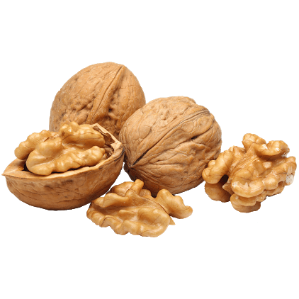 Murphy's Walnuts In Shell 1kg (Excl. TAS & WA) from Murphy's Pet Products