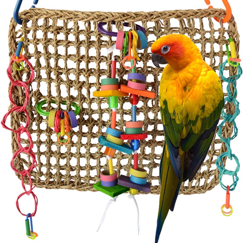 Super store bird toys