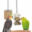 Featherland Paradise Hide Away Foraging Feeder from Featherland Paradise