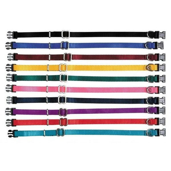 3-8" Adjustable Puppy Collar from Prestige Pet Products