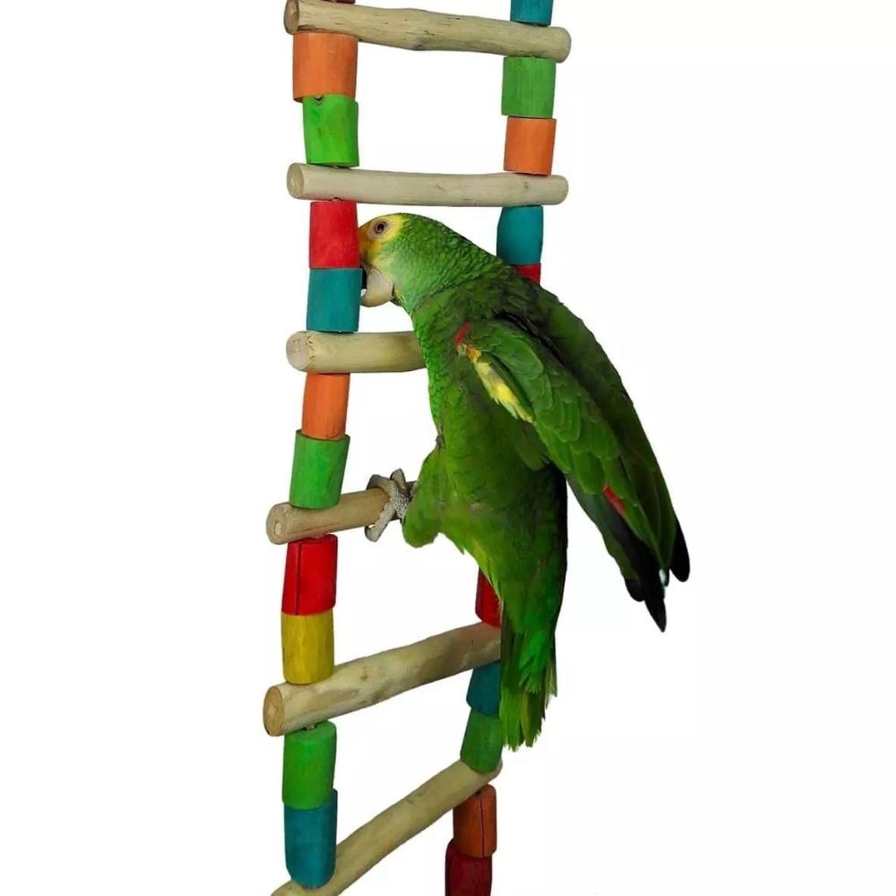 Java Giant Buy Nino's Java Giant Ladder Online | Get Flocked
